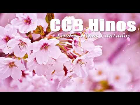 CCB Hinos   279, 115, 292, 49, 60, 198, 369, 188, 353, 307, 289, 205, 242, 142, 248, 44, 240, 349