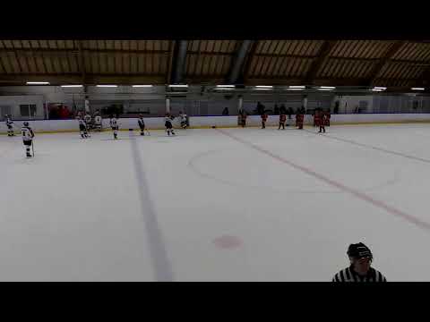 Koovee Yellow - HIFK White