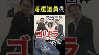 複数の前議員らが新政治団体「ゴリラ」を結成。参加意向は16人、現職議員も含まれる一方、全員の名前は非公表。なぜ公表しないのか？ #政治 #ニュース #ゴリラ #国会 #トトリの備忘録