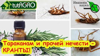 От ТАРАКАНОВ, МУРАВЬЕВ, КЛЕЩЕЙ и МОЛИ - ОДНО СРЕДСТВО! Избавьтесь от паразито?