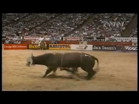 Robey Condra vs Lisa's Pet - 99 PBR Finals (84.5 pts)