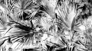 Marcos Cabral - Moving In