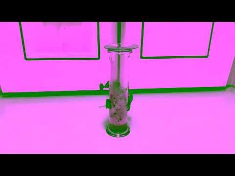 Reaktion zwischen Calciumcarbid und Wasser und Verbrennung gasförmiger Reaktionsprodukte