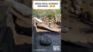 Download lagu MASA KECIL KURANG BAHAGIA π
π
#hiburan  #ngakak #lucu#short #shorts #shortviral mp3 Download lagu MASA KECIL KURANG BAHAGIA π
π
#hiburan  #ngakak #lucu#short #shorts #shortviral mp3