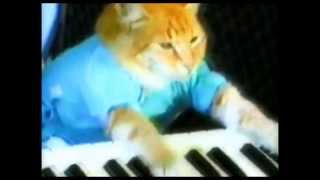 Keyboard Cat Hardstyle - Hardest Lawnmower Basshunter