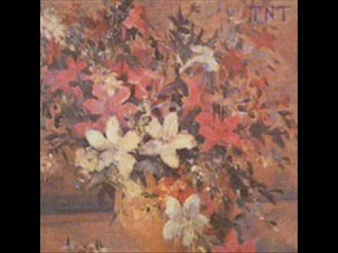 Ana Banana - TNT