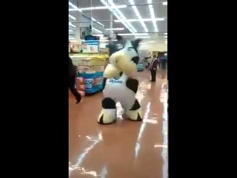 download lagu mp3 mp4 Vaca Bailando, download lagu Vaca Bailando gratis, unduh video klip Vaca Bailando