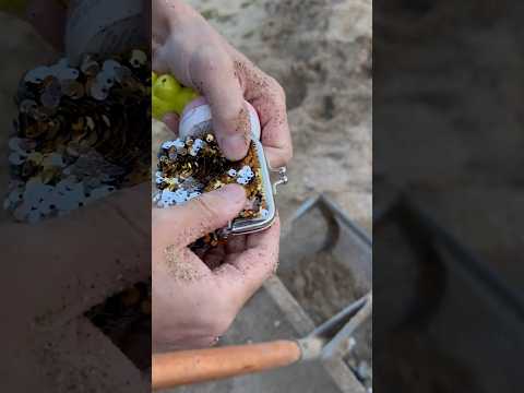 Amazing Beach Finds: Lost Jewelry and Hidden History! #treasuresearch