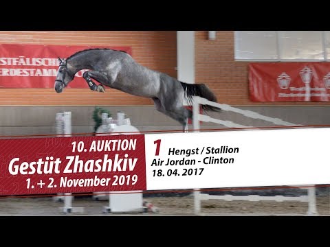 01 Hengst / Stallion v. Air Jordan - Clinton