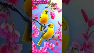 Download lagu o mor moyna go kar karone #lata mangeshkar #youtube short #subscribe # mp3