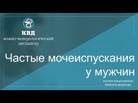 Количество позвонков в шейном отделе лебедя Остеохондроз шейного невролог