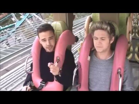 Niall Is The Most Clever In One Direction || Roller-Coaster Interview
