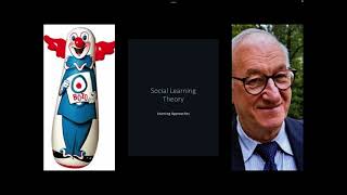Learning Approaches - Social Learning Theory