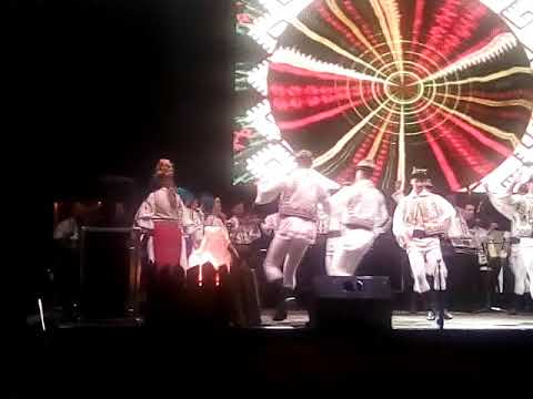 Zilele culturale ale municipiului Vaslui,JUNII SIBIULUI din Sibiu,Centru Civic,15 august 2017*