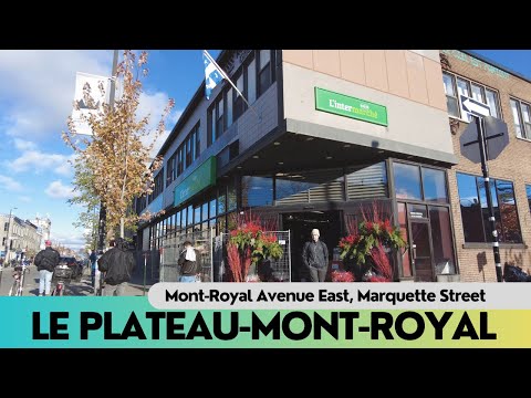 4K Montreal Leisure Walk in Le Plateau-Mont-Royal #montreal