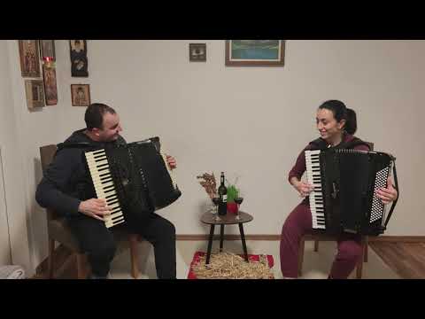 DAVIDOVICI / Babovo oro - Slobodan Spasojevic (ver. Branimir Djokic)