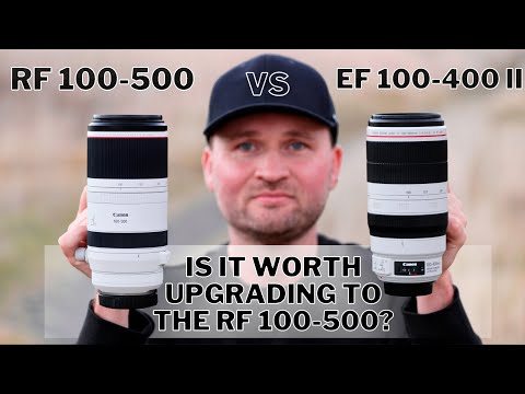 Canon RF 100-500 vs EF 100-400 II | Is it WORTH UPGRADING to the RF 100-500? Bird Photography Review