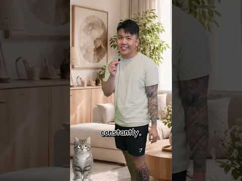 How Your CAT controls you..