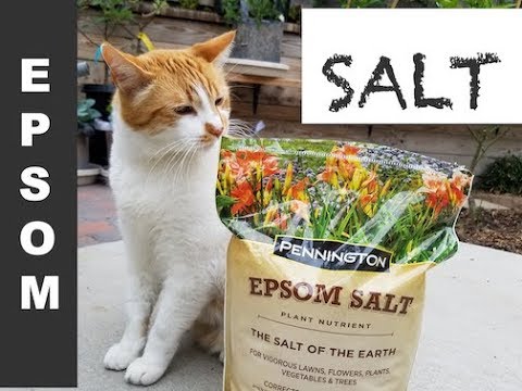 The Many Benefits of EPSON SALT nutrient for Fruit and Vegetables