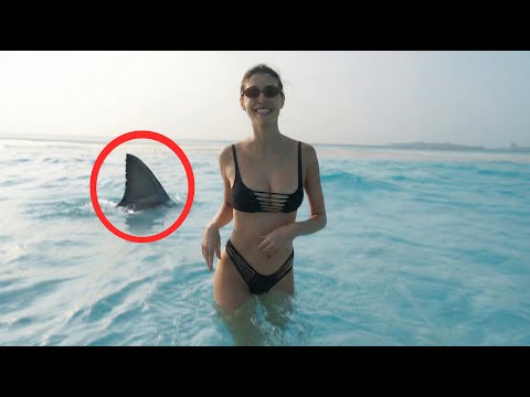 Čo robiť keď pripláva ŽRALOK (Maledivy VLOG)