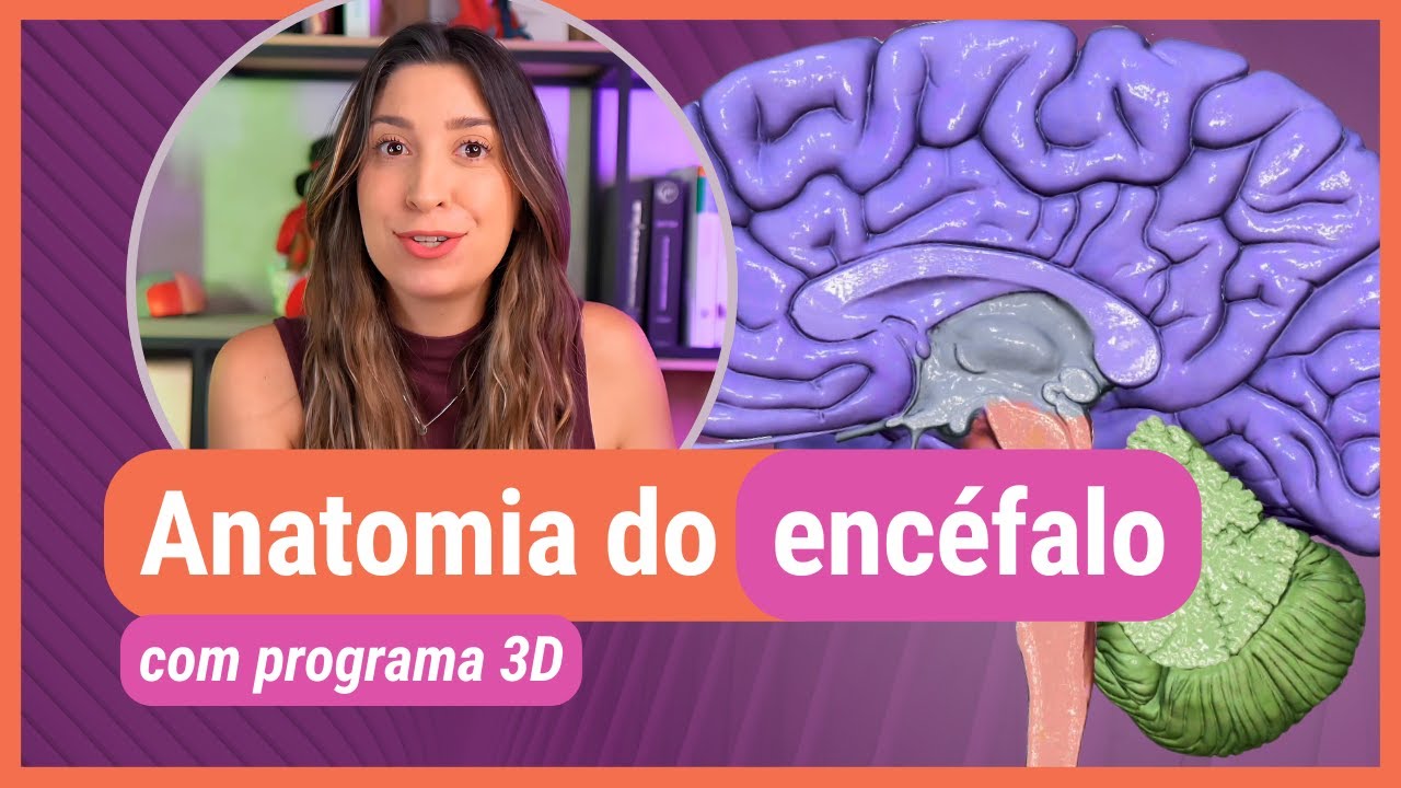 BRAIN ANATOMY! With 3D program