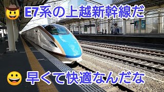 【一人三役第43弾】時間がないので上越新幹線を使って高崎まで行ってみた