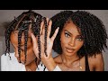 Perfect Twist Out For Natural Hair 2 Strand Vs 3 Strand Technique