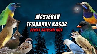 Download lagu Masteran Tembakan Kasar Ampuh Mudah Ditiru Untuk Burung Fighter mp3