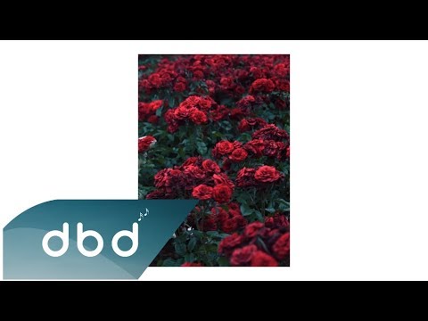 Umut Mutlu - Oksijen (Keşfedilmesi Gereken Şarkılar)