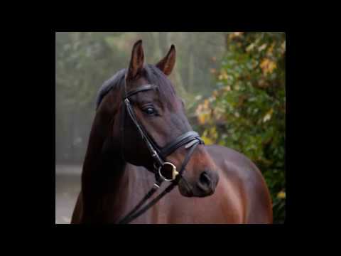 4 j.W v. First Selection