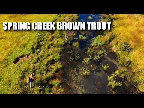"SPRING CREEK IMMERSION: EAST OF THE ANDES" - Fly Fishing a Chilean Spring Creek Brown Trout