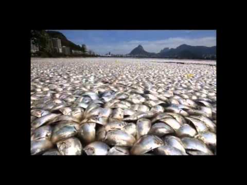 Wildwood Castle Petersburg Tn - The Beginning Of Sorrows - 3.2013