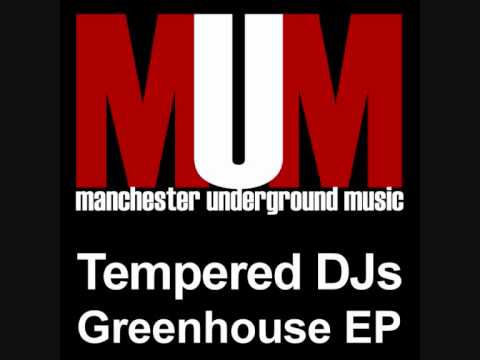 Tempered DJs - Attention Seeker