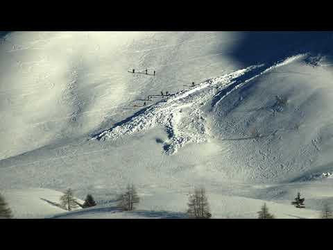 Ski- u. Tierspuren sichern vor Lawinen - Fehleinschätzung bei der Lawineneinschätzung - Lawinenkunde