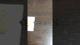 「開封＆紹介動画」作のやってないシリーズの御三家ポケモン登場！ポケモンパンデコキャラシールの紹介 #作 #shorts #ポケモン