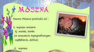 preview picture of video 'Zamek MOSZNA'