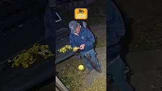 🚨 Who's At The Door?! | Animal Watch