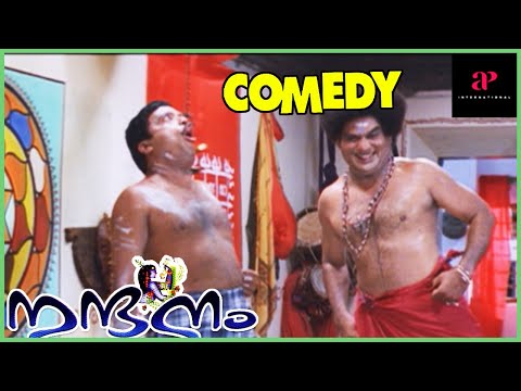 Nandanam | Nandanam Full Movie Comedy | Navya Nair | Prithviraj Sukumaran | Jagathy Sreekumar Comedy