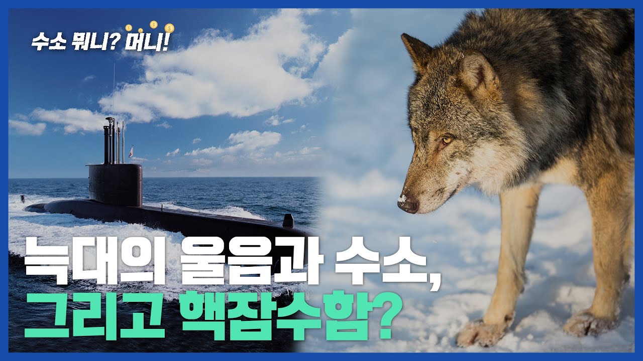 [수소 뭐니? 머니!]잠수함의 늑대소리, 수소가 잡는다!