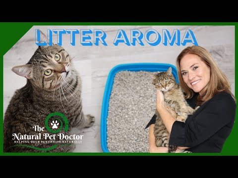Safely Add Essential Oils to Help Your Cat with Dr. Katie Woodley - The Natural Pet Doctor