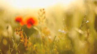 「 Rainy Milo ||  'Bout You \ Tall Black Guy remix 」