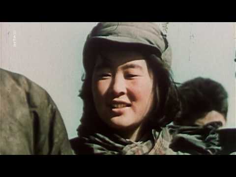 Wahre Geschichte 4 von 4  arte HD   20190205