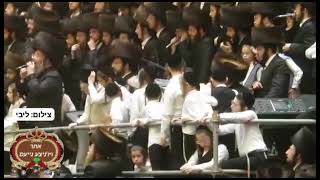 12. חתונת הרב חיים מאיר הגר שליט"א בהגה"צ הרב שליט"א מאלעד