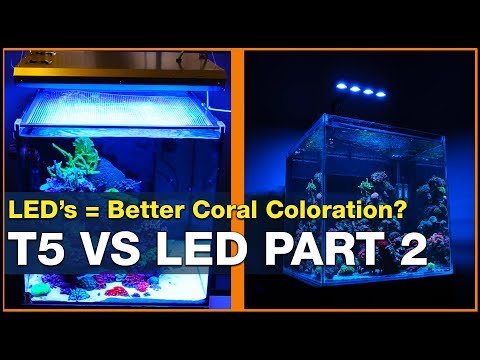 LED vs T5: LEDs can do it better! 3 Ways to Get Better Coral Coloration in Your Reef Tank.