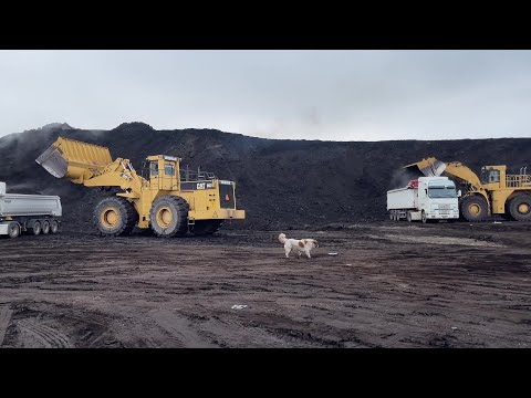 Caterpillar 992C & Caterpillar 990 Wheel Loaders Loading Lorries With Coal - S.G.M Melidis