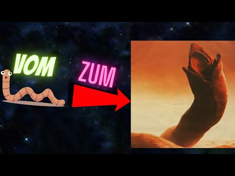 Wie gewinnst du bei Dune Imperium? Tipps und Tricks