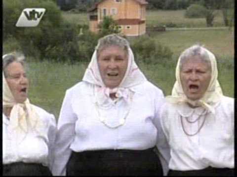 Pšenice se klasale - Cvetlinčanke