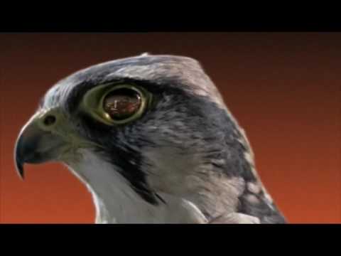 ITV Sport F1 Intro 2006 HD - 'Glamour'