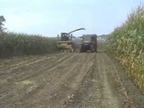 Huyghe: Mais hakselen.