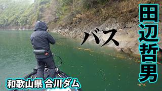 釣果情報